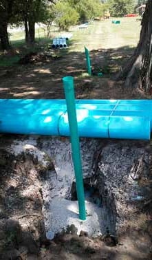 Pipe bore under tree